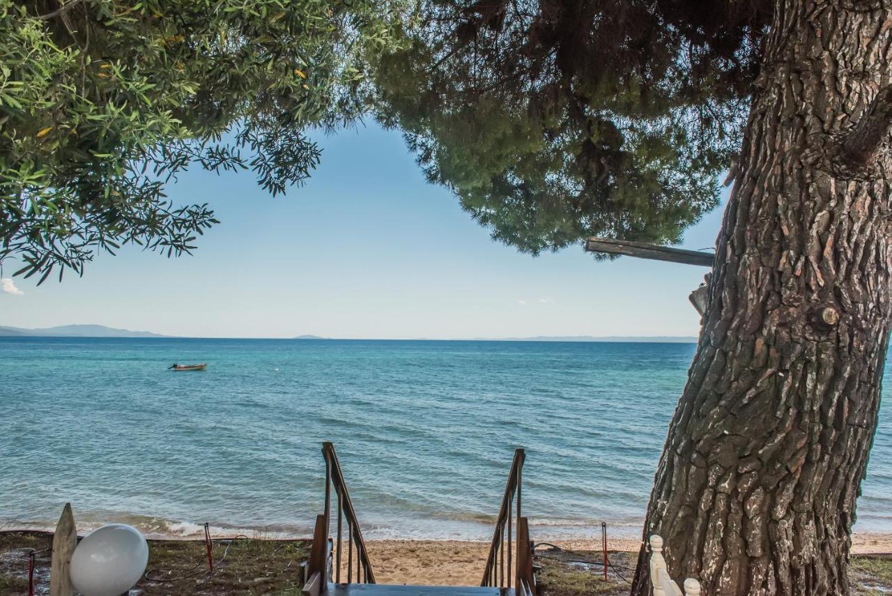 Citro By The Sea Hotel Metamorfosi  Buitenkant foto